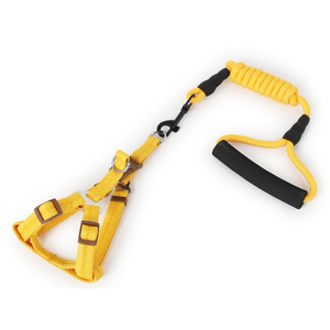 Nuova Linea di Collari e Guinzagli per Cani in Poliestere Personalizzati all'Ingrosso - Product Image 4