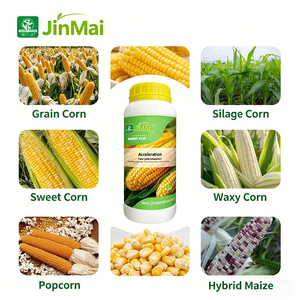 Fertilizzante Liquido Fogliare Organico con Aminoacidi e Micronutrienti Chelati (Zn, <span class=keywords><strong>B</strong></span>, Fe) per Mais <span class=keywords><strong>a</strong></span> Maturazione Precoce e Alta Resa - Product Image 3