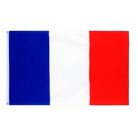 Drapeau français en polyester 3x5 pieds avec logo personnalisé, vente en gros