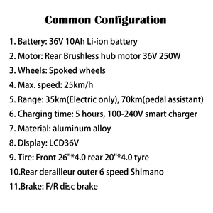 Vélo cargo électrique pliable sans balais, cadre en alliage d'aluminium, pneus larges, freins à disque hydrauliques, moteur central 500W, batterie au lithium - Product Image 6