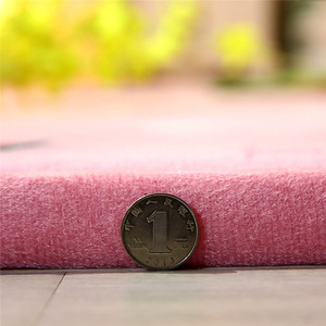 Alfombra peluda de terciopelo coralino grueso de <span class=keywords><strong>Color</strong></span> sólido suave, alfombras para suelo, baño, sala de estar, alfombra para suelo - Product Image 2