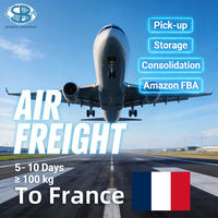 Agente de Transporte Aéreo de China a Francia, Europa, DDP, DDU, FBA, Almacén, Puerta a Puerta, Tarifas de Envío B2B