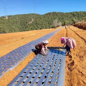 יריעת חיפוי חקלאית שחורה-כסופה 1.2 מטר על 500 מטר, כסופה ושחורה, 30 מיקרון, פלסטיק,  נמכרת במהירות - Product Image 6
