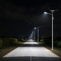 Lampe solaire de rue étanche IP65 à LED 60W 80W 120W avec télécommande pour éclairage routier extérieur