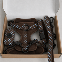 Harnais pour chien personnalisé, ensemble de harnais réglable pour animaux de compagnie, collier et laisse pour chiot, harnais anti-traction pour chien, services de personnalisation