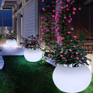 Thông Minh Điều Khiển Từ Xa LED Chiếu Sáng Vòng Bóng Hình Hoa Bình Hiện Đại Trồng Và Chậu Khay - Product Image 1