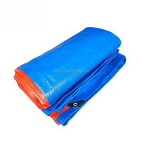 Rouleau de bâche en plastique pour Corea, bâche en toile imperméable de fabricants, bâche en PE de 200gsm 300gsm