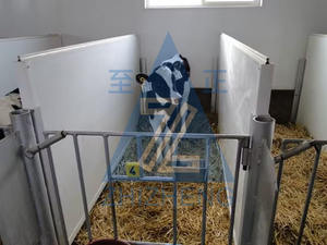 Pannelli in PVC Bianco Cavo per Recinti di Maiali, Pannelli per Stalle, Recinzioni in PVC per Allevamento - Product Image 6