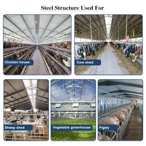 Poulailler pour 10000 poulets de chaise industriel haus couche oeuf poule cage volaille ferme maison design structures en acier - Product Image 4