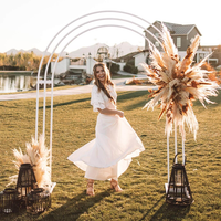 Grande arche de mariage blanche à 3 niveaux, support pour ballons, toile de fond de jardin, support métallique, cadre d'arche, pergola, hauteur 260 cm, largeur 102,3 cm
