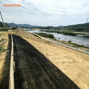 <span class=keywords><strong>Malla</strong></span> Geomembrana Reforzada con Acero Geosintético <span class=keywords><strong>para</strong></span> Refuerzo de Taludes de Presas y Riberas - Uso en Jardines Exteriores - Product Image 6