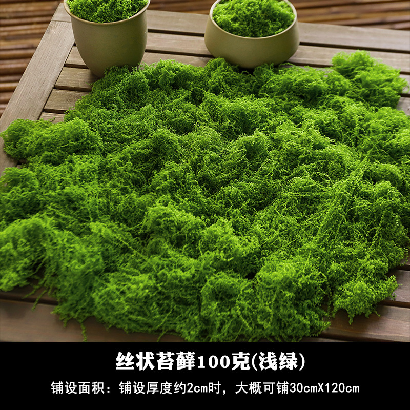 [Mejorado] Musgo filamentoso verde claro 100g
