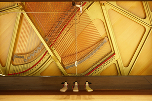 Học tập huấn luyện cụ de musique Piano sử dụng Kawai XO-8 - Product Image 5