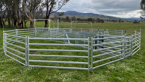 Bảng điều khiển kim loại mạ kẽm cừu hàng rào Bảng điều khiển cừu thiết bị sân - Product Image 3