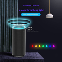 Haut-parleur sans fil portable d'extérieur en promotion avec caisson de basses, fonction mains libres, stéréo, basses puissantes, lumières RGB, prise en charge FM et carte TF