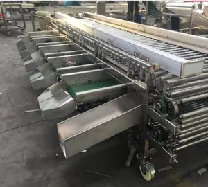 Fruit Size Sorting Machine Of Citrus / Navel Orange / Apple Onion Grading Sorting Machine