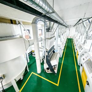 Moulin à <span class=keywords><strong>farine</strong></span> de blé 100TPD à faible consommation d'énergie pour une exploitation économique et durable à long terme, approvisionnement en gros - Product Image 2