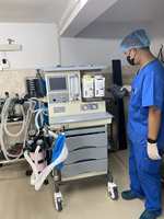 Appareil d'anesthésie vétérinaire PetFit pour clinique vétérinaire, hôpital pour animaux, anesthésie gazeuse vétérinaire avec 2 sources d'air