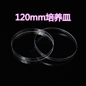 QJ Petri Dishes 35mm 60mm 90mm 100mm 120mm Plastic Round Premium Lab Use - Product Image 2