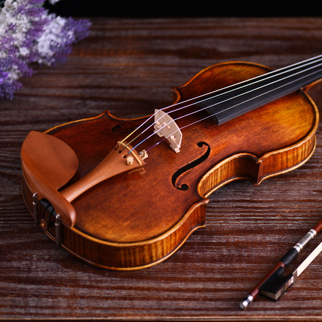 バイオリン　Stradivarius 1716モデル　4/4 付属品多数 バイオリン Stradivarius 1716モデル 4/4 新品 付属品多数