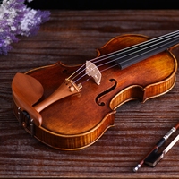 NAOMI Niveau de performance professionnel Violon Stradivarius 1716 Copy 4/4 Handmade Violin Spruce Violino Bow Case Strings