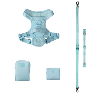 2022 Thương Hiệu Riêng Sản Phẩm Vật Nuôi Người Bán Hàng Đầu Biểu Tượng Tùy Chỉnh Không Có Kéo Tay Miễn Phí Thoáng Khí Độn <span class=keywords><strong>Dog</strong></span> Pet 3M Khai Thác Thiết Lập Với Dây Xích - Product Image 1