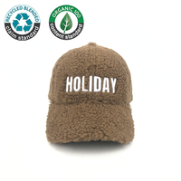 Sombreros de béisbol de lana de 6 paneles de moda personalizada, gorra deportiva lisa de felpa de peluche de Invierno para mujer