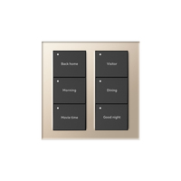 Nuevo Interruptor de Pared Inteligente Inalámbrico Siqitech para Panel de Aleación de Aluminio con Control Remoto