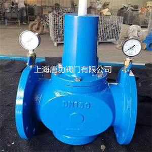 Vanne de réduction de pression en fonte ductile Tang Gong Y416X-16Q DN15, type diaphragme à ressort, pour l'alimentation en eau et le drainage - Product Image 2