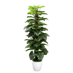 Grande plante d'intérieur <span class=keywords><strong>en</strong></span> <span class=keywords><strong>pot</strong></span>, bonsaï sur pied, décoration d'arbre artificiel <span class=keywords><strong>en</strong></span> plastique, <span class=keywords><strong>Arum</strong></span> Italicum (<span class=keywords><strong>Arum</strong></span> chinois) vert - Product Image 3