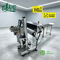 Machine de marquage laser à positionnement visuel automatique ASL BELGISI pour la marquage de la date de production sur les emballages de snacks et les emballages flexibles
