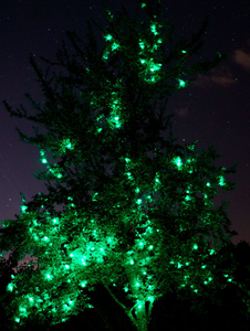 Lớn màu trắng <span class=keywords><strong>LED</strong></span> Đèn giáng sinh trong nhà/ngoài trời IP65 nhựa chuỗi sao với ánh sáng trắng ấm nguồn - Product Image 2