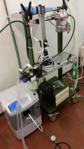 EUR VET Cheap Price <strong>Portable</strong> Rechargeable <strong>Oxygen</strong> Concentrator <strong>Oxygen</strong> <strong>Portable</strong> <strong>Oxygen</strong> Generator for Hospital - Product Image 5