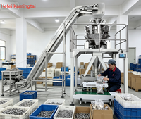 Machine d'emballage automatique quantitative pour granulés, idéale pour les snacks, bonbons, graines de melon, gelées et snacks surgelés (OEM/ODM)