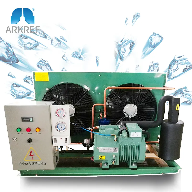 Arkref phòng lạnh lạnh lưu trữ hiệu suất cao Hai giai đoạn bitzer máy nén làm mát bằng không khí ngưng tụ đơn vị