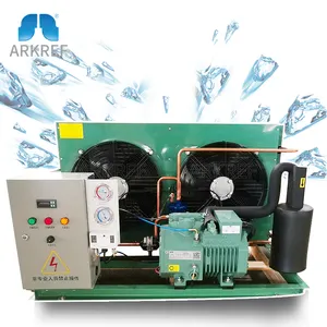 Arkref Cold Room Cold Storage High Performance Two Stage Bitzer Compressor Air Cooled Condensing Unit