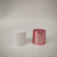 Botella de Plástico PP para Esmalte de Uñas al por Mayor, Cilindro Metálico Ecológico con Tapón de Rosca, Recubrimiento UV Personalizado, Botella de 10 ml con Tapón