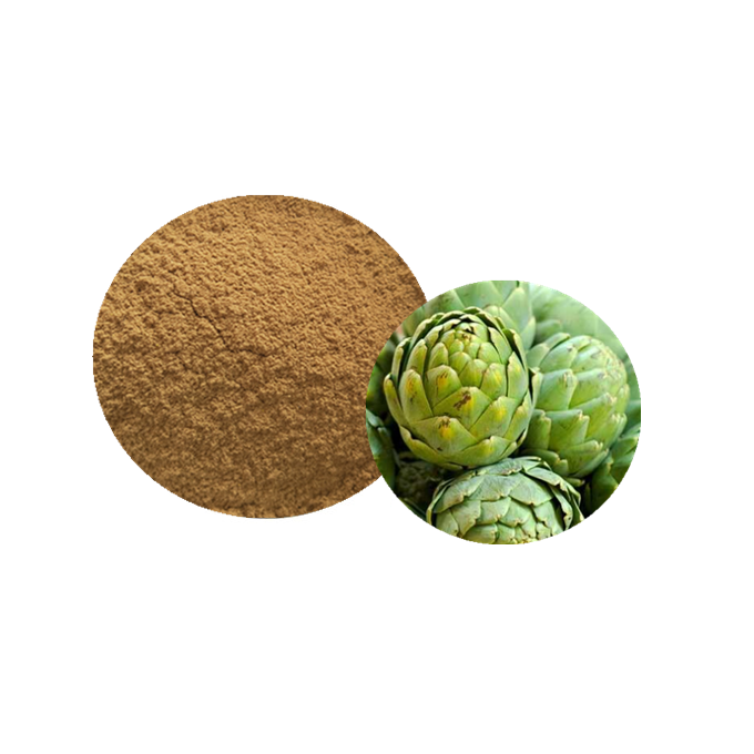 Artichoke Extract Powder Wholesale Bulk Natural