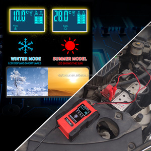 <span class=keywords><strong>Foxsur</strong></span> 24V 3a بطارية ليثيوم شاحن تقشير معيل 12V 6a Desulfator <span class=keywords><strong>LiFePo4</strong></span> شاحن بطارية الرصاص الحمضية للسيارة - Product Image 4