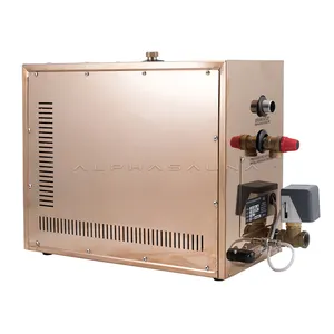 Space-saving Home Use 6KW Steam Bath Generator For Bath Sauna Steam Room