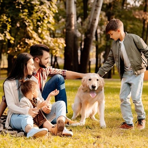 Giocattolo da masticare per cani in nylon resistente all'usura a forma <span class=keywords><strong>di</strong></span> <span class=keywords><strong>corna</strong></span> <span class=keywords><strong>di</strong></span> <span class=keywords><strong>cervo</strong></span>, con profumo <span class=keywords><strong>di</strong></span> manzo integrato, design a scanalature, per la pulizia dei denti, interattivo, corregge i comportamenti distruttivi - Product Image 5