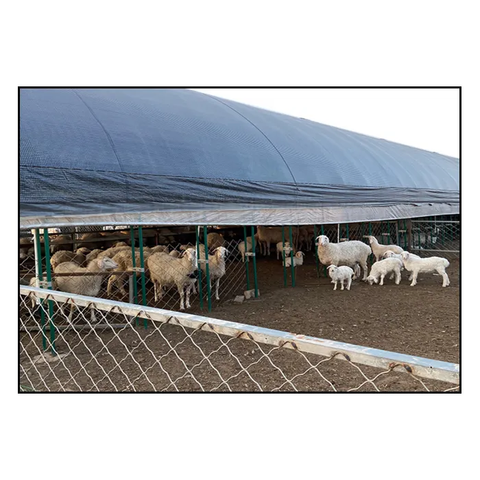 China Low Cost Prefab Metal Steel Structure Cow/Goat /cattle/Sheep Farm Building/barn/shed for sale