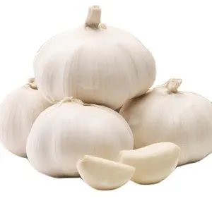 laiwu pure white garlic fresh from China 100% natural garlic