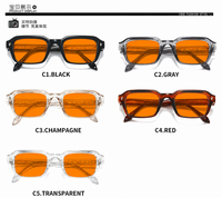 Lunettes anti-lumière bleue unisexes Sunray personnalisées en gros, monture en métal TR90 légère et durable, verres PC