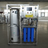 Petit purificateur d'eau commercial personnalisé équipement d'osmose inverse 0.25TPH 500LPH RO système de purification d'eau potable