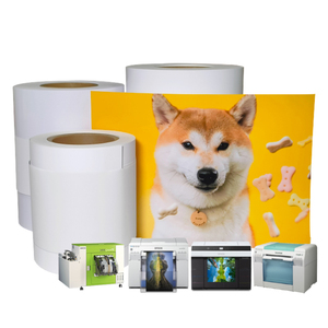 Papier photo <span class=keywords><strong>minilab</strong></span> RC de haute qualité, rouleau pour imprimante <span class=keywords><strong>Epson</strong></span> FUJIFILM Noritsu, 6 pouces, 65 m, brillant, lustré, DX100 DX400 DE100 D1070 - Product Image 6