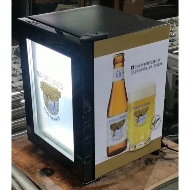 21L Customized Glass Front Mini Refrigerator Drink Display Cooler