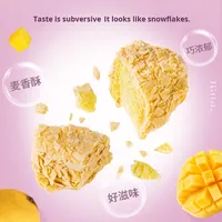 ZHONGBAO Vriesdroogde Fruit Snacks Zoete Gedroogde Aardbeien Gesneden Graan Snack Bulk Groothandel 38g