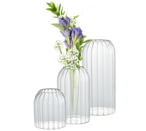 Juego de 3 Jarrones Pequeños de Vidrio para Flores, Jarrones Modernos con Diseño Acanalado para Centros de Mesa de Boda, Decoración del Hogar para Sala de Estar - Product Image 1