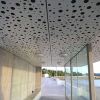 Tablero suspendido de fábrica hexagonal de fibra de vidrio techo acústico techo de nube techo falso